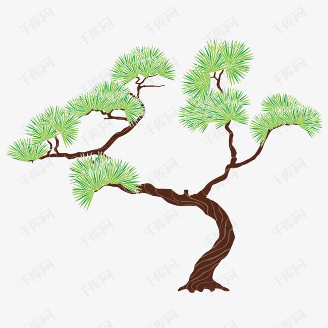 卡通松柏的素材免抠树松柏松树植被生长树干  
