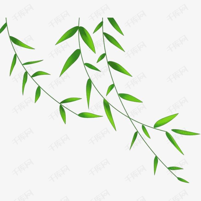 绿色春季清新柳条