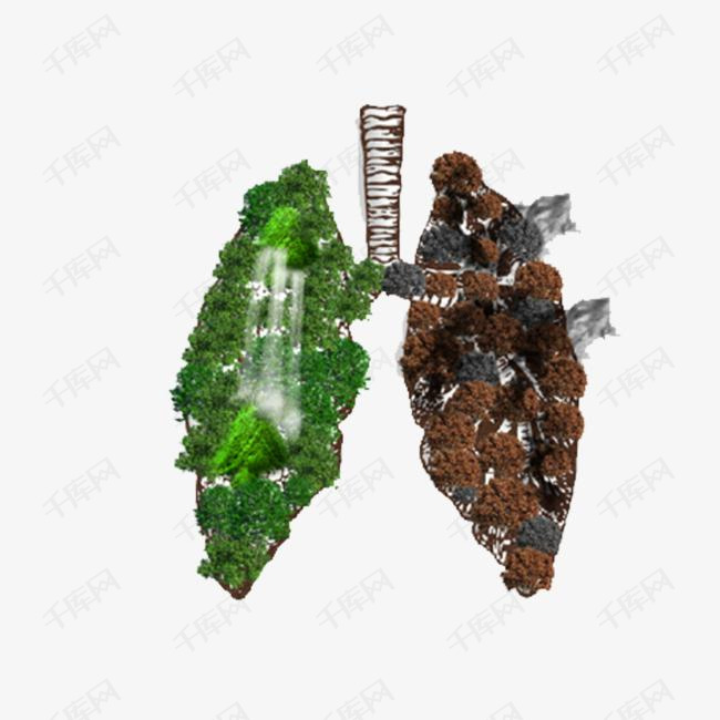 免抠树叶的肺部结构图吸烟的危害戒烟禁烟吸烟后的肺部对比图吸烟的肺