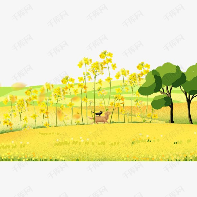 春天你好油菜花风景插画