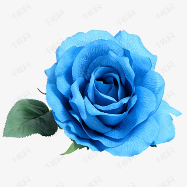 a82e0f1fbcf653c67f0af651c043e3b0.jpg