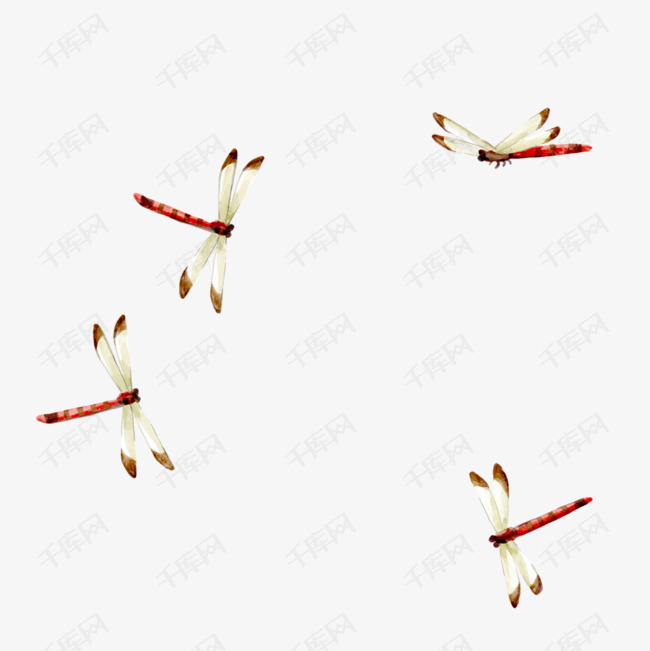 飞舞的蜻蜓的素材免抠春天的蜻蜓免费下载春天蜻蜓小昆虫飞舞