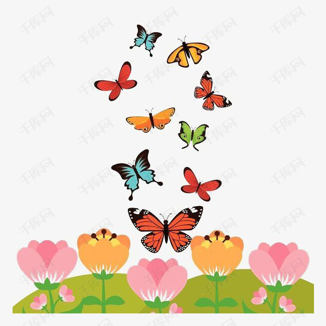蝴蝶漂亮花纹                                            美丽可爱