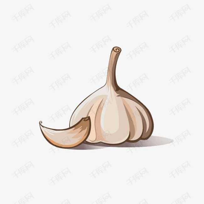 有机蔬菜大蒜免抠图