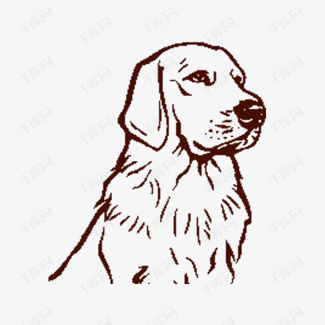 素描金毛狗狗的素材免抠狗狗素描简笔画忠诚金毛卡通保家卫国