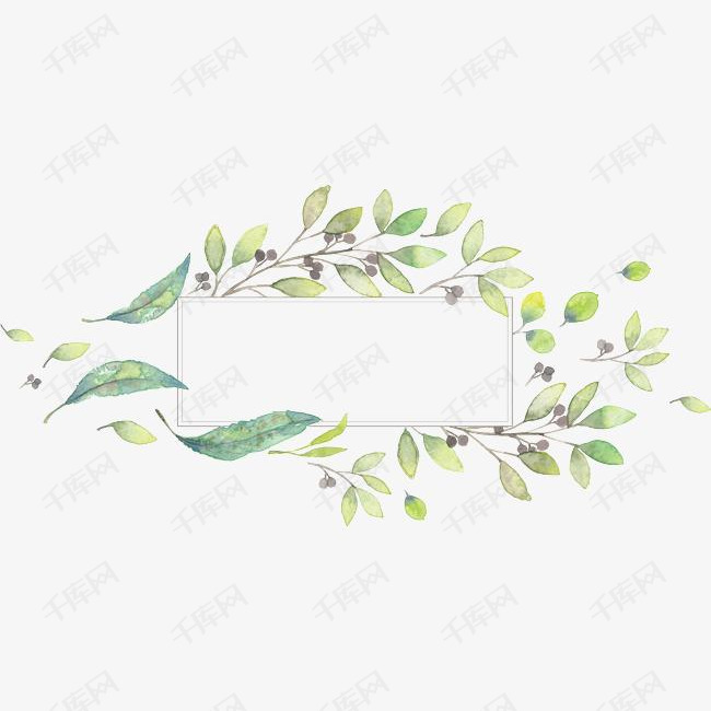 手绘叶子植物边框