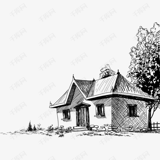 屋后的小树素描画