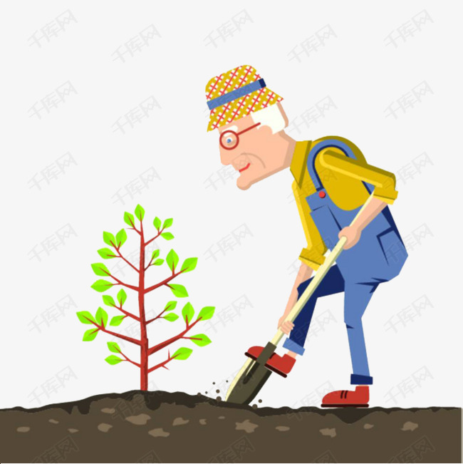 正在挖土种树的园林工