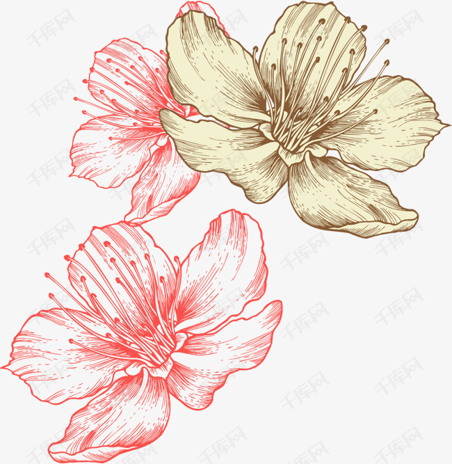 春暖花开手绘花朵的素材免抠春暖花开多彩花朵绘画美丽花朵春天花朵
