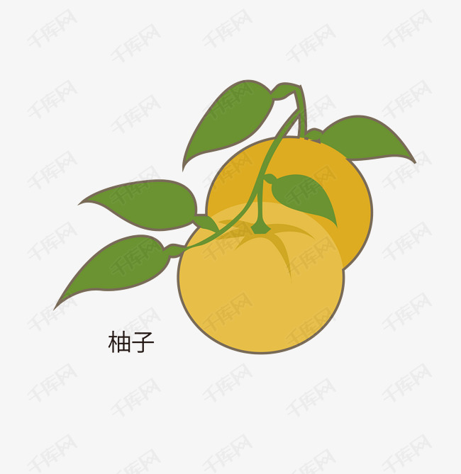 矢量卡通简洁扁平化柚子的素材免抠矢量柚子卡通柚子简洁柚子扁平化