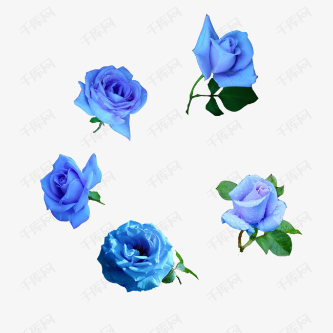 d9e00c91bd9e050b1666c3c326a2457b.jpg