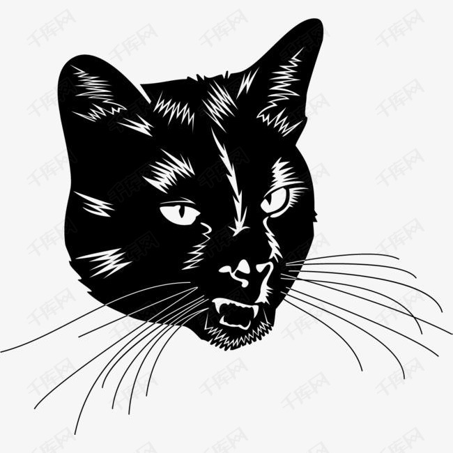 凶狠的猫咪