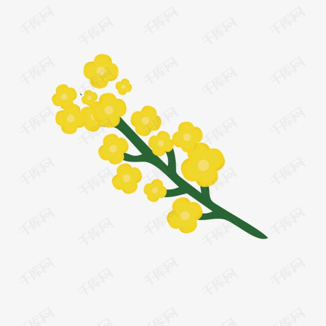手绘可爱插图黄色清新油菜花