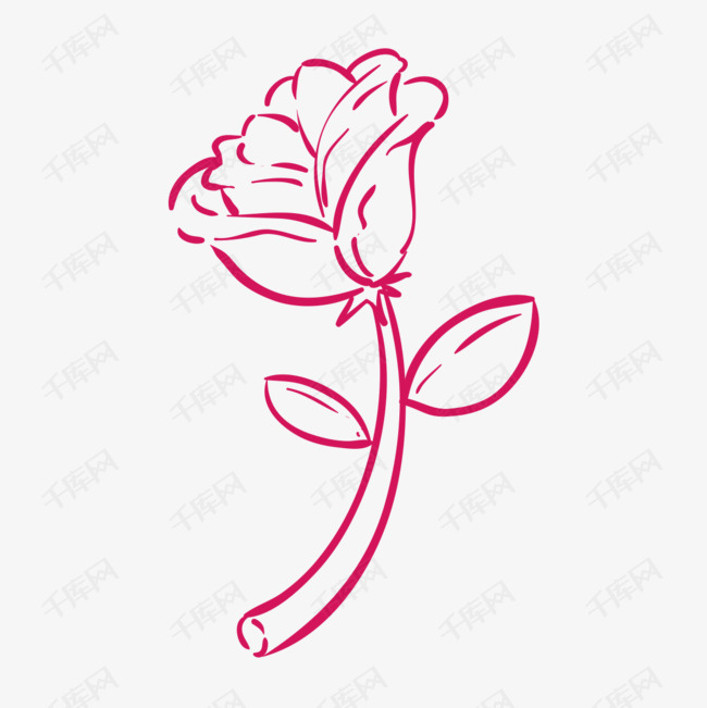 手绘线条玫瑰花
