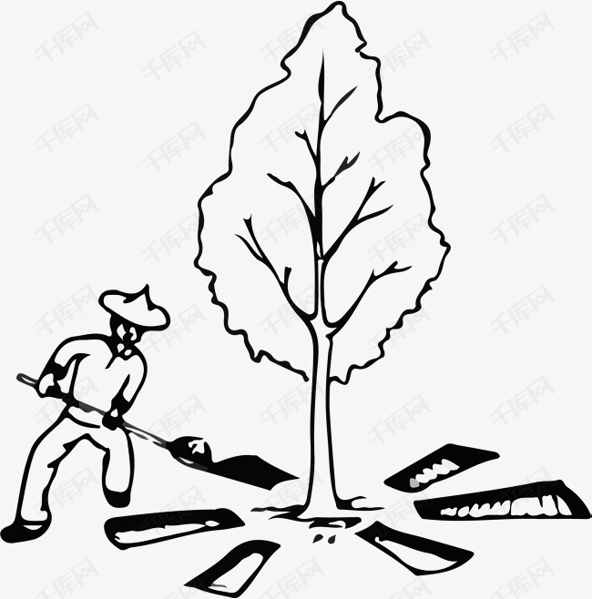 手绘农民给树木进行放射状沟法施肥
