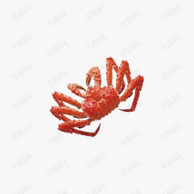 红色的螃蟹是什么成语_螃蟹卵是什么样子图片