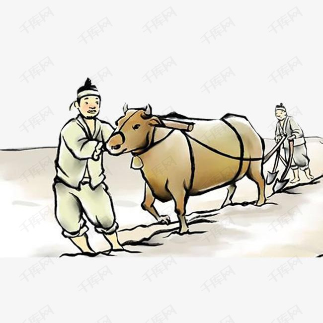 古代拉牛车在田地里耕作的戴头巾农民