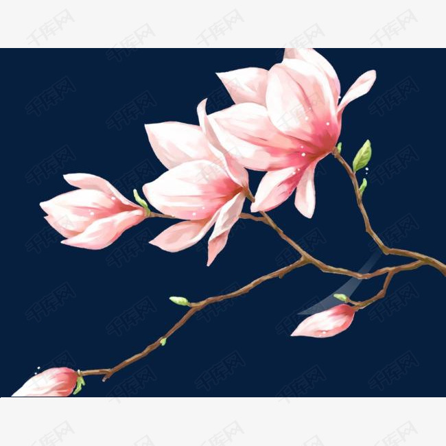 梅花素材的素材免抠