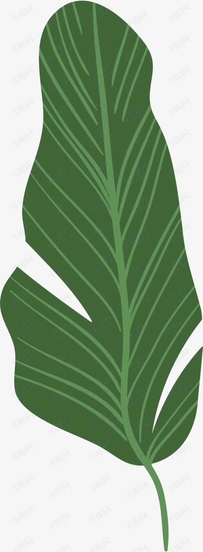绿色枝桠经脉芭蕉叶的素材免抠叶子卡通风格芭蕉叶矢量经脉枝桠芭蕉叶