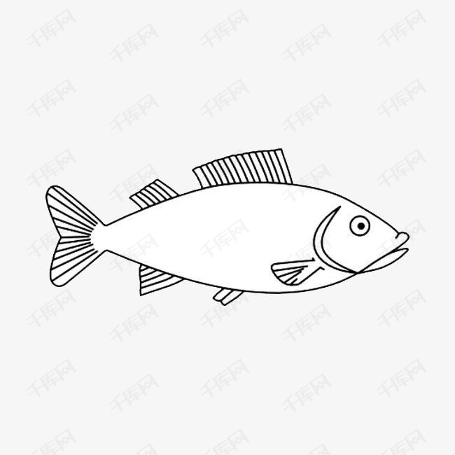 手绘简笔画的梭鱼