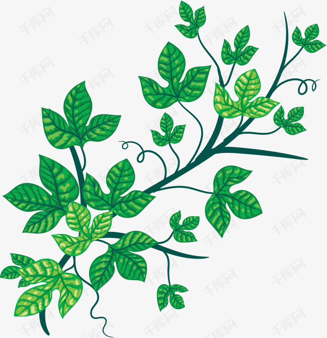 卡通手绘绿藤植物的素材免抠绿藤植物绿叶绿色绿藤绿环花藤缠绕的树藤