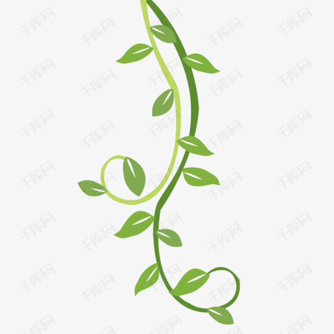 手绘藤条的素材免抠手绘植物手绘藤条绿色绿叶绿枝条装饰