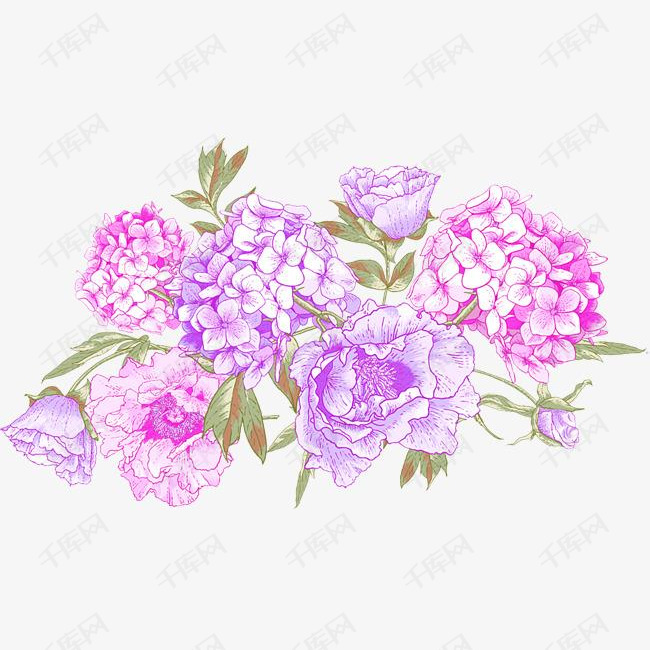 手绘粉色夜来香花球