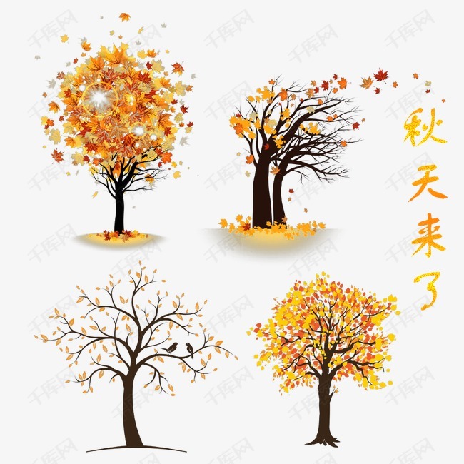 秋天树木的素材免抠落叶金黄创意