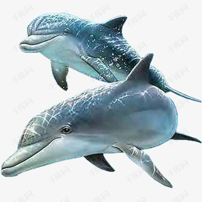 海底动物怎么来的 ed83d69651ba5b17f5cef434db388a32.jpg