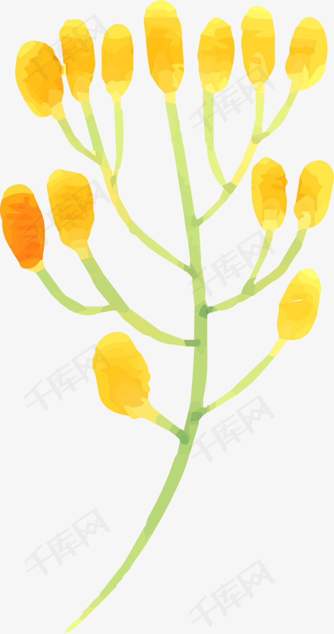 手绘创意黄色植物叶子
