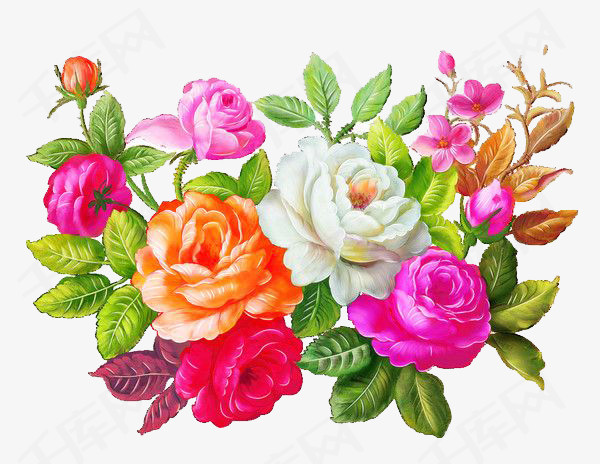 水彩蔷薇花免抠图