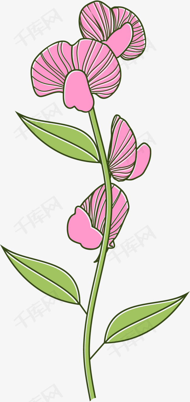 花朵手绘风格描边粉色卡通豌豆花矢量豌豆花花朵手绘风格描边
