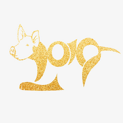2019猪年数字艺术字下载