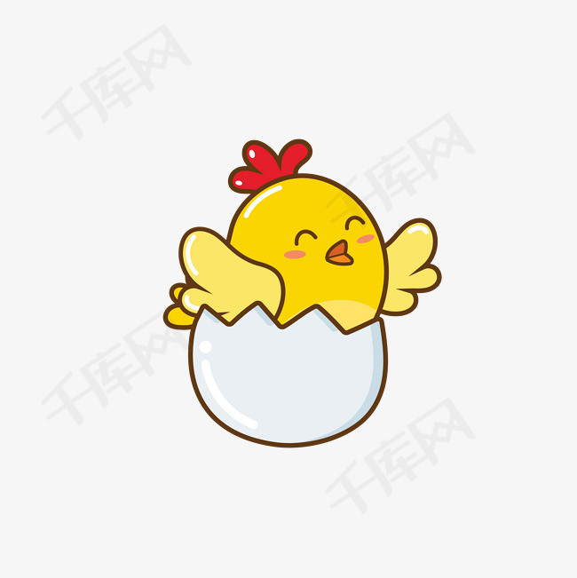 小鸡小雏鸡鸡仔                                            破壳