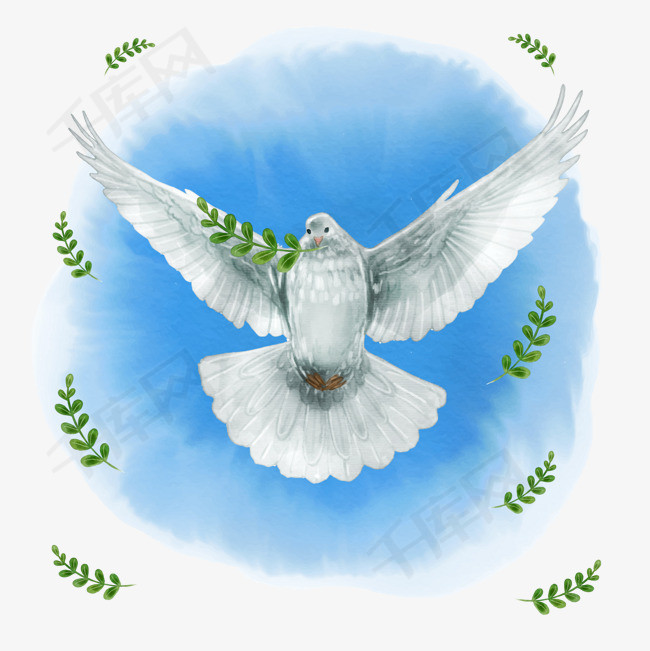 矢量手绘白鸽飞行下载橄榄枝白鸽png免抠图下载装饰翅膀世界和平日