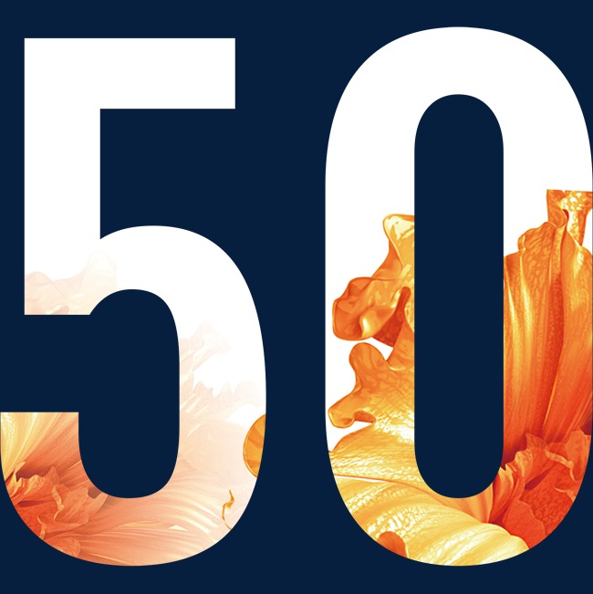 创意数字50字体设计_艺术字设计_千库网