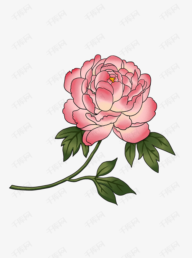 手绘牡丹花花朵插画元素的素材免抠粉红色花朵绿色叶子牡丹花手绘插画
