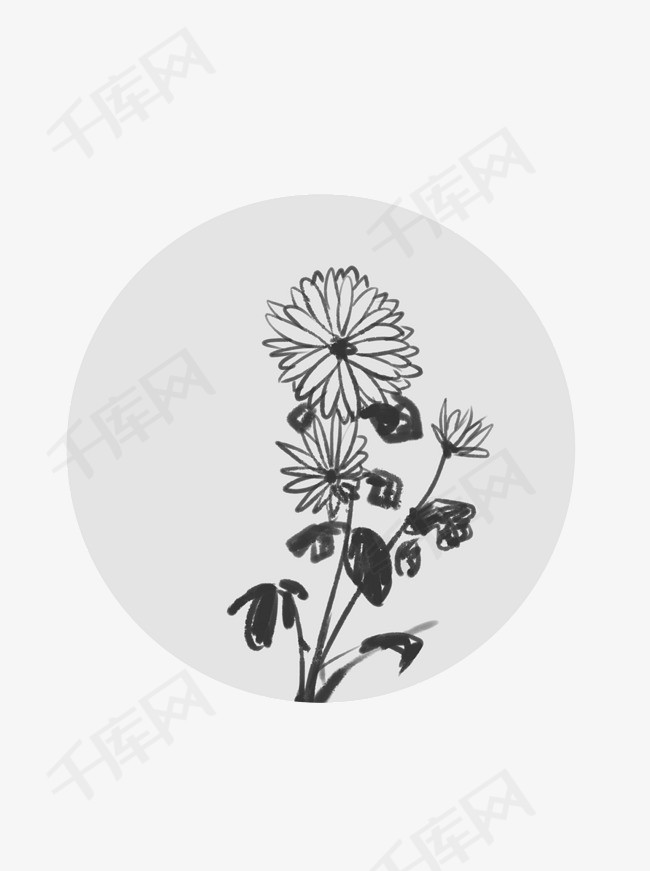 水墨植物黑色古典中国风古风手绘重阳菊花