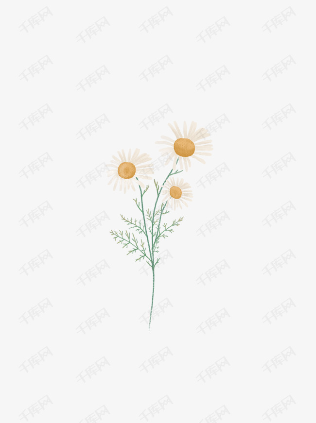 植物素材的素材免抠花卉矢量图儿童手绘圣诞素材洋甘菊手绘植物素材花