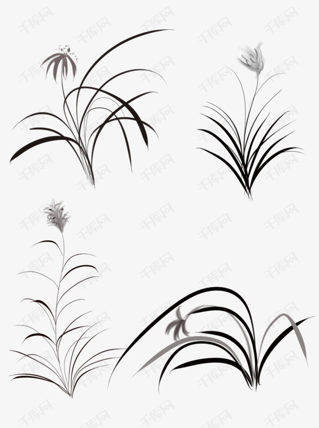 商用手绘古风中国风水墨画植物兰