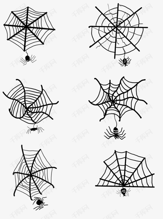 手绘万圣节蜘蛛网和蜘蛛透明底可商用素材