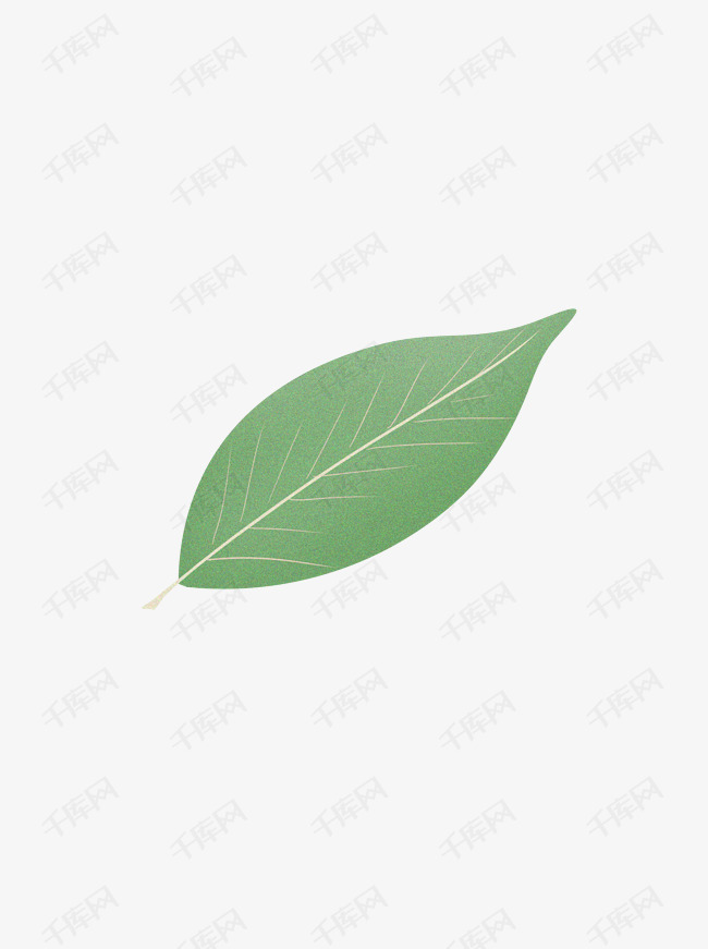手绘叶子清新绿色植物可商用元素