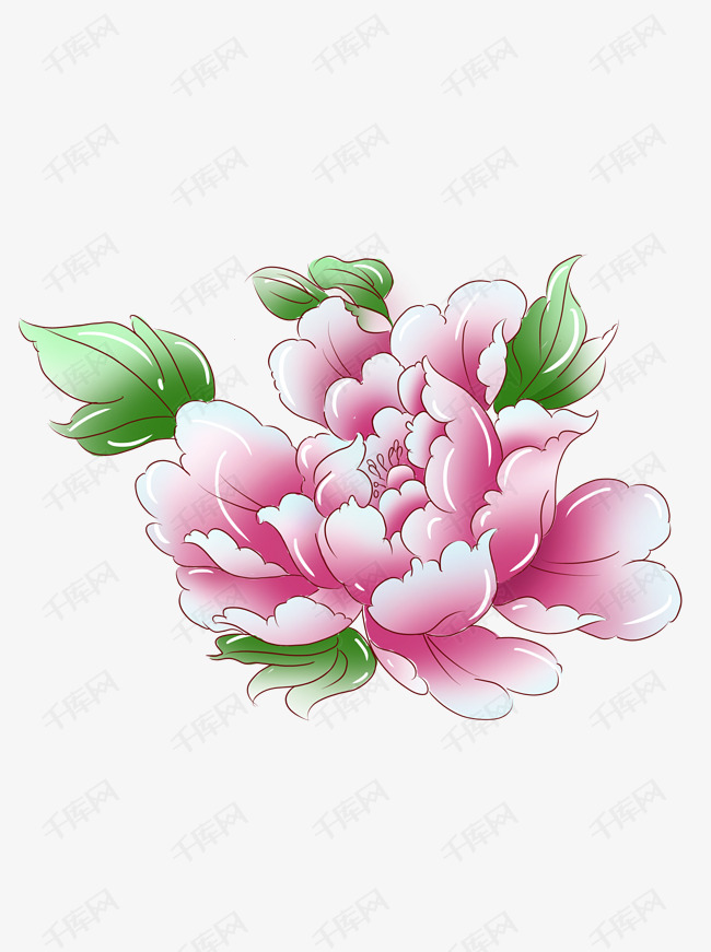 手绘植物粉红色手绘牡丹花