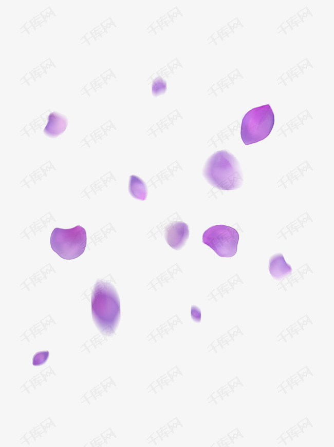 漂浮的紫色花瓣手绘绣球花瓣飘落的花瓣