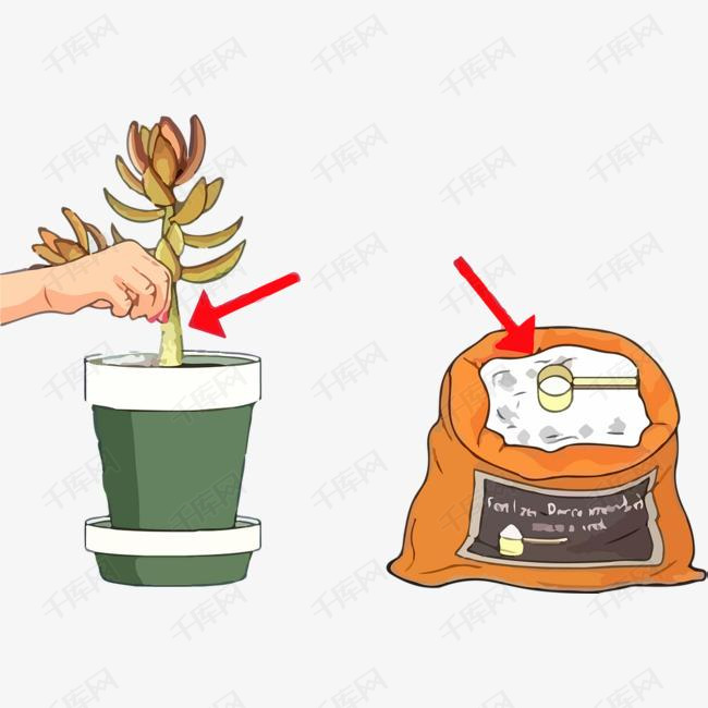 彩色多肉植物使用肥料科普插图的素材免抠彩色卡通肥料施肥多肉植物