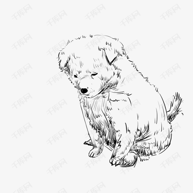 线描可爱的小狗插画