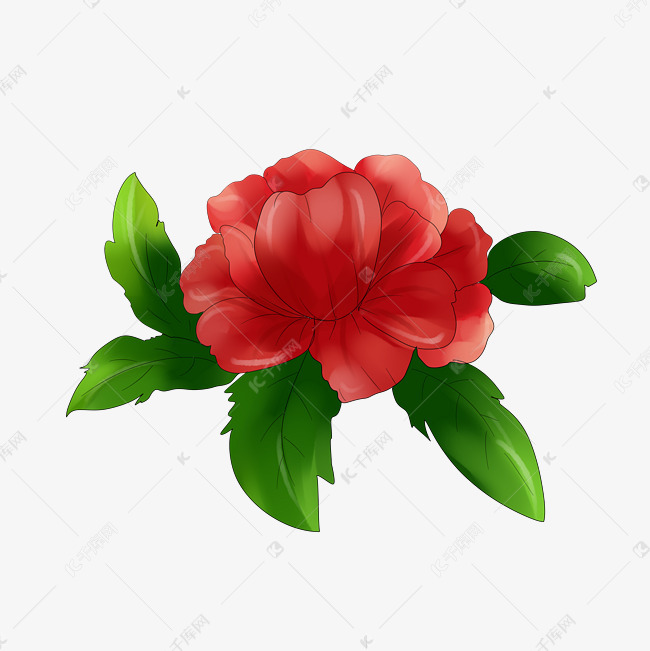 红色花朵牡丹花手绘装饰