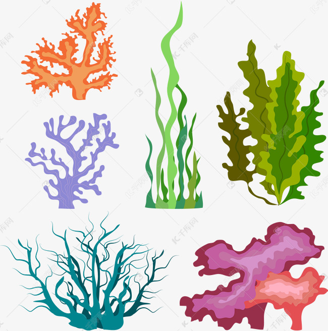 图标海洋植物图标