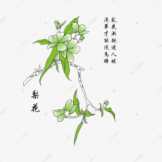 题字花图