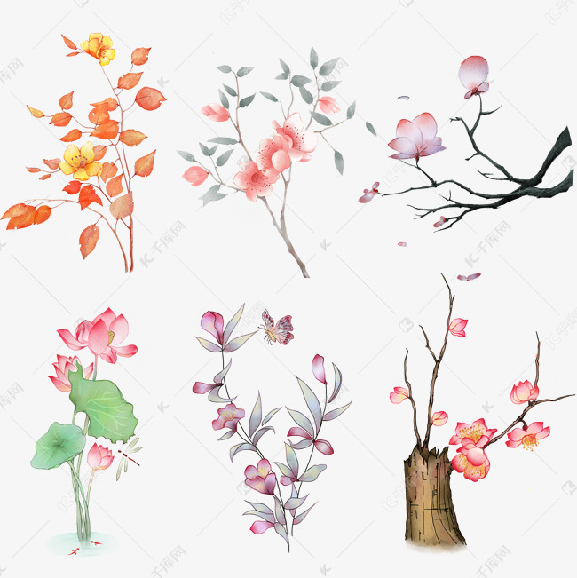 中国风水彩手绘植物
